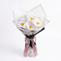 The "Dreamscape Daisy" Everlasting Glow Bouquet